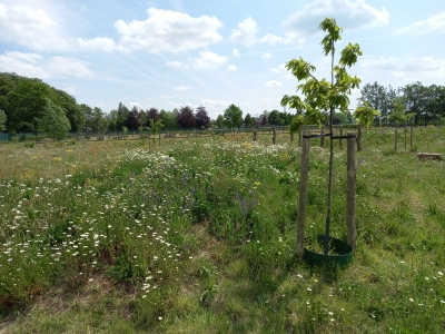 Bedrijventerrein De Campagne