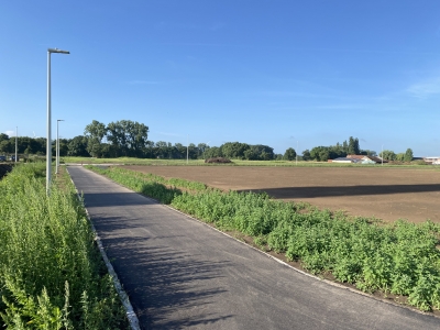 Groenling